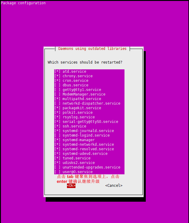 image-20250210164616732
